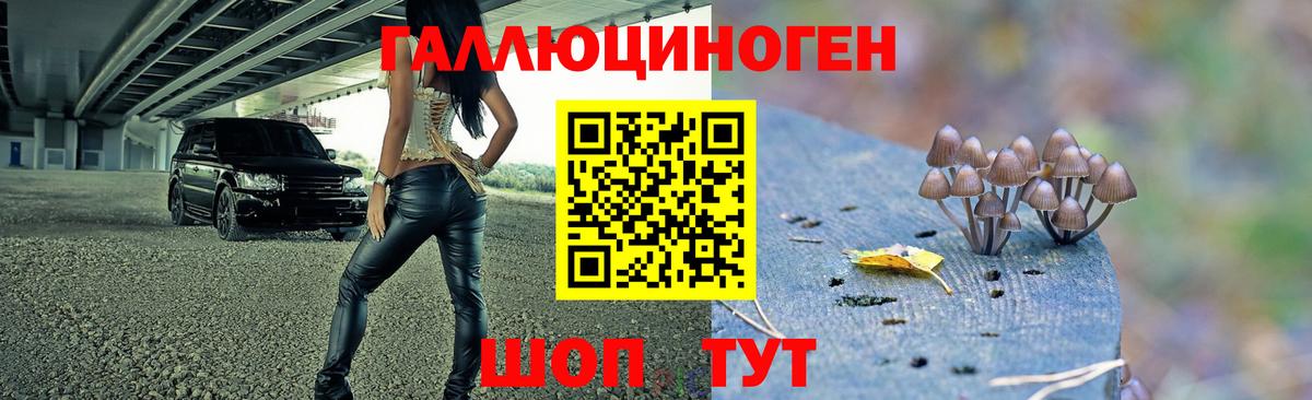 Надым  Галлюциногенные грибы мухоморы  Вход с VPN 